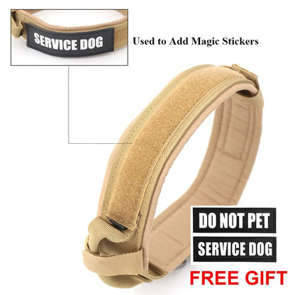 Heavy Duty Dog Collar