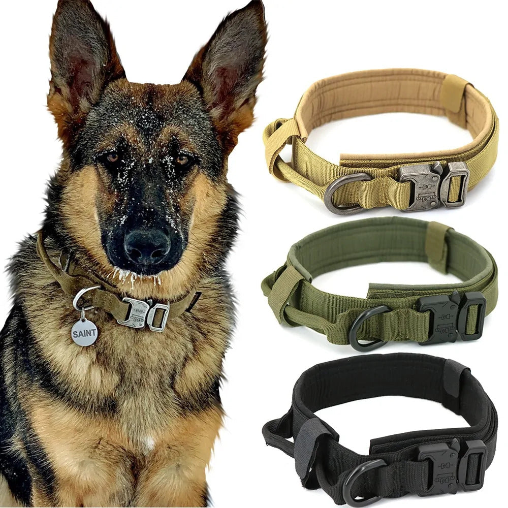 Heavy Duty Dog Collar