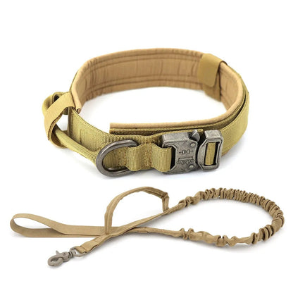 Heavy Duty Dog Collar